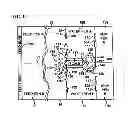Fig. 17 - Method and system for tracking and managing animals and/or food products
