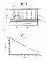Fig. 05 - Liquid crystal display device and manufacturing method thereof