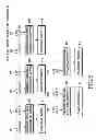 Fig. 07 - Transmission of scheduling assignments in multiple operating bandwidths