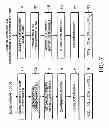 Fig. 08 - Transmission of scheduling assignments in multiple operating bandwidths