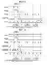 Fig. 09 - Data transmission system, data transmission method, and transmission device