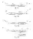 Fig. 04 - Physical Layer Frame Format Design for Wideband Wireless Communications Systems