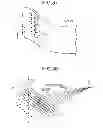 Fig. 32 - Radiation imaging apparatus and phantom used for the same