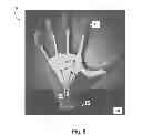 Fig. 07 - FLEXIBLE OPTICAL DEVICE