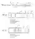Fig. 02 - Chunk header incorporating binary flags and correlated variable-length fields