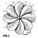 Fig. 02 - Wide faced propeller / turbine blade assembly