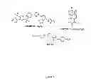 Fig. 07 - Circuits, devices and sensors for fluid detection