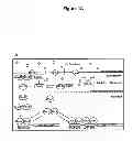 Fig. 02 - ENGINEERED YEAST CELLS AND USES THEREOF