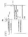 Fig. 07 - Mobile communication method, switch, and mobile station