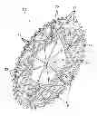 Fig. 01 - Sprocket wheel for bicycle