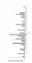 Fig. 02 - PROBES FOR GENOTYPING LOW-RISK-HPV