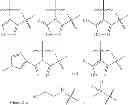 Fig. 06 - Inhibitors of AKT activity