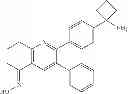 Fig. 09 - Inhibitors of AKT activity