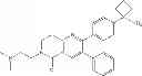 Fig. 33 - Inhibitors of AKT activity