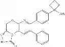 Fig. 46 - Inhibitors of AKT activity