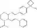 Fig. 49 - Inhibitors of AKT activity
