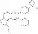 Fig. 76 - Inhibitors of AKT activity