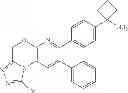Fig. 99 - Inhibitors of AKT activity