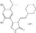 Fig. 167 - Novel HSP90 Inhibitor