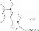 Fig. 197 - Novel HSP90 Inhibitor