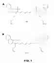 Fig. 02 - FLUORESCENT POLYMETHINE CYANINE DYES