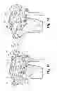 Fig. 07 - Devices and methods for performing knee arthroplasty