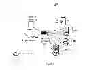Fig. 02 - Auto discovery of virtual machines
