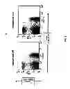 Fig. 06 - Humanized IL-6 and IL-6 receptor