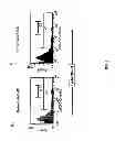 Fig. 07 - Humanized IL-6 and IL-6 receptor