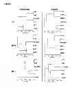 Fig. 02 - Methods for determining fitness in plants