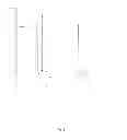 Fig. 03 - Overexpression of starch synthase in plants