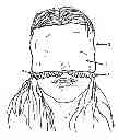 Fig. 01 - Slip-over light blocking sleep mask