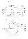 Fig. 12 - Accessory-retaining neck scarf