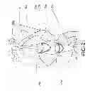 Fig. 17 - Accessory-retaining neck scarf