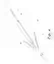 Fig. 03 - Multi-pronged spear-fishing spear tip