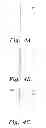 Fig. 05 - Multi-pronged spear-fishing spear tip