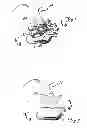 Fig. 02 - Nasal Therapeutic System