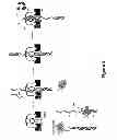 Fig. 06 - Methods for using a nanopore