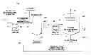 Fig. 01 - Process scheme to improve divalent metal salts removal from mono ethylene glycol (MEG)