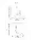 Fig. 04 - Broadband infrared light emitting device