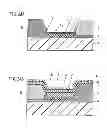 Fig. 22 - Organic EL element, display device, and light-emitting device