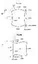 Fig. 06 - Bumper reinforcement structure