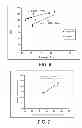 Fig. 06 - Spatially coincident MRI receiver coils and method for manufacturing