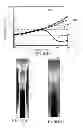 Fig. 06 - RFID tag antenna for attached on high conductive object