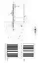 Fig. 08 - 3D intraoral measurements using optical multiline method
