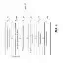 Fig. 06 - 3D intraoral measurements using optical multiline method