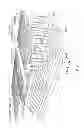 Fig. 02 - Three dimensional stacked nonvolatile semiconductor memory