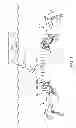 Fig. 02 - System and method for enhancing speech of a diver wearing a mouthpiece