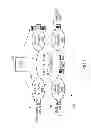 Fig. 02 - One to Many OAM/Protection Inter-Working Function