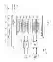 Fig. 09 - One to Many OAM/Protection Inter-Working Function